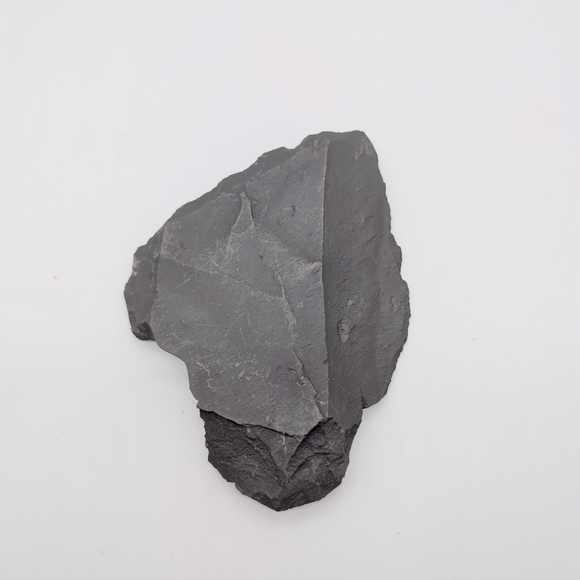 Real Multi Ammonite Fossils In Black Shale Stone Matrix - Picture 5 of 8